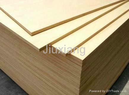 Birch Core Film Faced Plywood