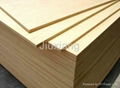 Birch Core Film Faced Plywood