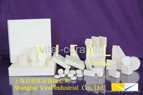 Advanced Technical Alumina Ceramics 2