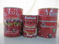 18-32Brix tomato paste packed in 850g tin can 1