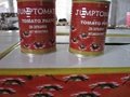 18-32Brix tomato paste packed in 3000g tin can 2