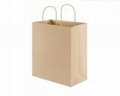 Paper Bag/Shopping Bag 1