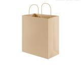 Paper Bag/Shopping Bag