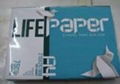 A4 80GSM Double a Copy Paper (80GSM,