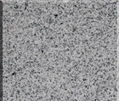 Grey granite G603 1