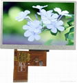 4.3 Inch TFT LCD Panel (4.3 Inch LCM)