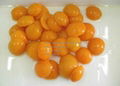 Canned apricots in Syrup 2