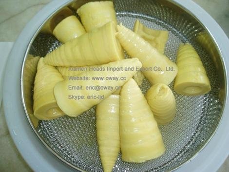 canned bamboo shoot whole/ halves/ slice/ strips 4