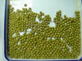 Canned Green Pea