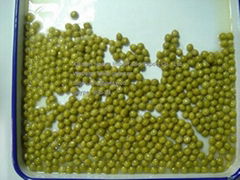 Canned Green Pea