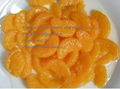 Canned mandarin orange in juice 1