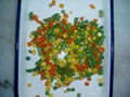 Canned Mixed Vegetable 1