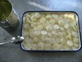 Canned water chestnut whole/ slice/ dice 4