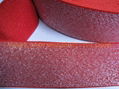 Pure Color Lurex Elastic 4