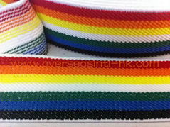 Twill with Multi-Colors Elastic