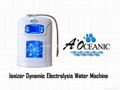 Ionized Alkaline Water (A'Oceanic)