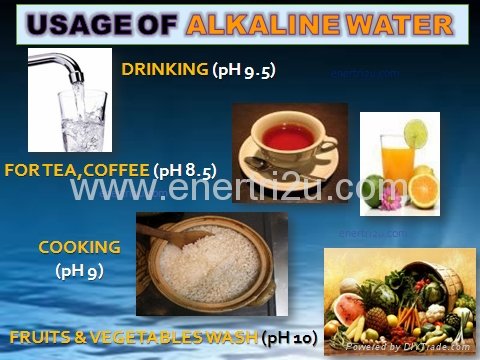 Ionized Alkaline Water (A'Oceanic) 3