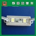 Top selling 5050 LED modules 4