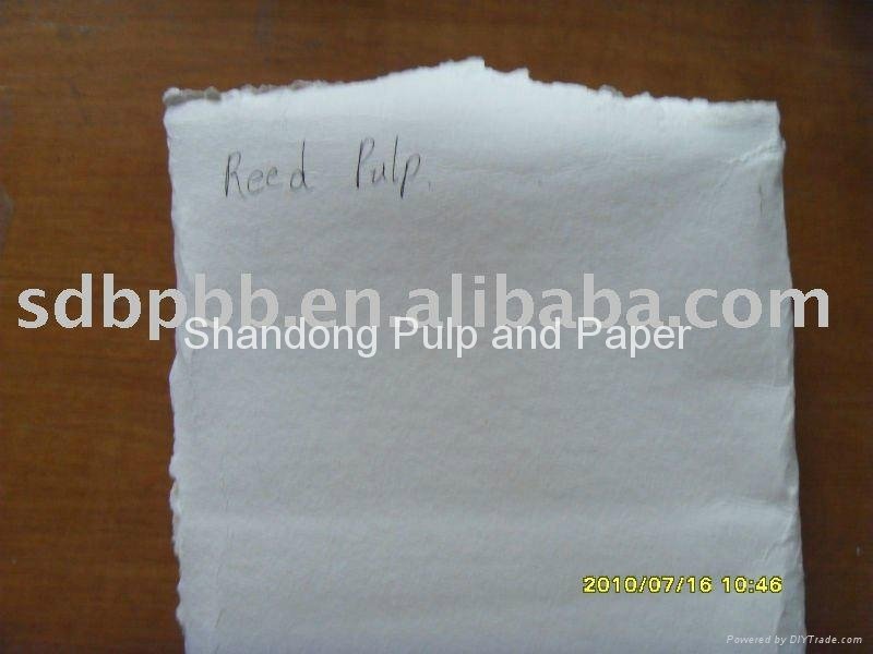 TCF and ECF Environmental Bleached Reed Pulp