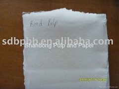TCF and ECF Environmental Bleached Reed Pulp