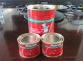 400g Tomato paste 1