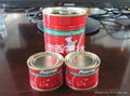 3000g Tomato paste/sauce 2