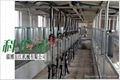 9JY in the home series milking machine（hall）