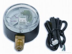 CNG Pressure Gauge