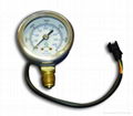 CNG Pressure Gauge 2