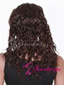  14inches #2 Dark Brown Spanish Indian Remy Hair Full Lace wig 5