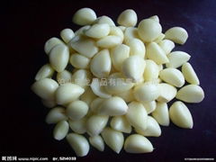 white garlic