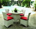 rattan dinning set ZY-03 1