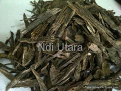 Malaysian Agarwood Chips