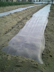 pe perforated cover mulch films for agricultural