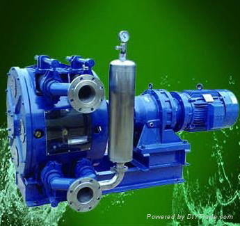 China peristaltic sewage pump