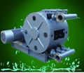 Circulation Pump and Circulating Pump