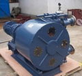 Rotary pump and rotor pump