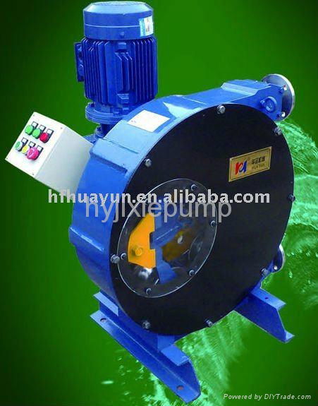 Deep Well Pump and Peristaltic Pump 2