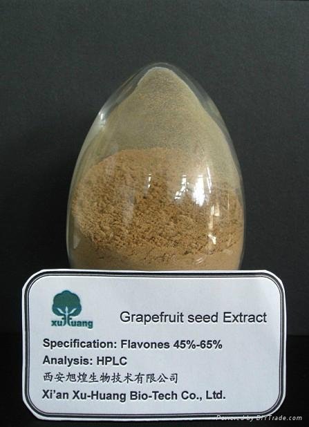Grape Seed Extract 1