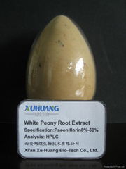 White Peony Root Extract