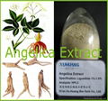 Angelica Extract