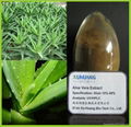  Aloe Vera Extract 1