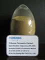  Tribulus Terrestris Extract Saponins 20%--98% 2