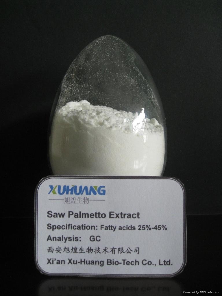 Saw Palmetto Extract 2