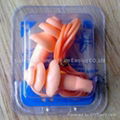 silica earplug with container