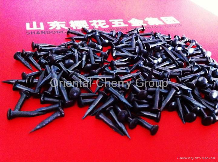 Black EG Concrete Nails Black galvanized concrete Nails 2