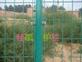 Bilateral wire fence 2