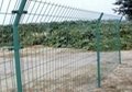 Bilateral wire fence 4