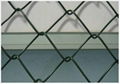 Chain Link Fence 1