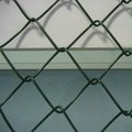 Chain Link Fence 5
